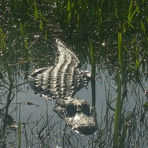 Meet your Posher, Ron